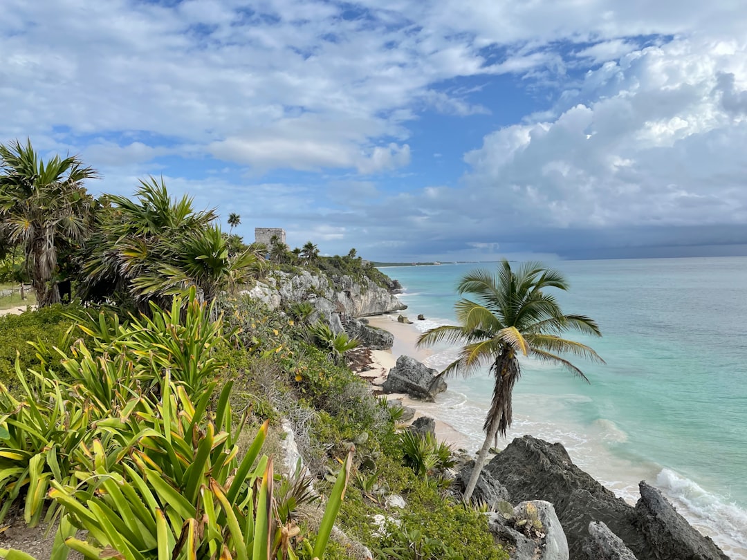 Caribbean beach and waves in Tulum, Mexico for Midnight Social travel